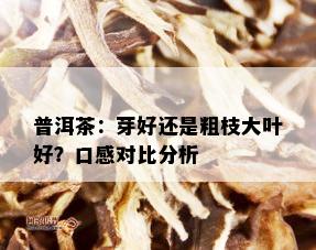 普洱茶：芽好还是粗枝大叶好？口感对比分析