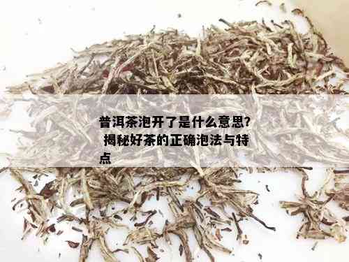 普洱茶泡开了是什么意思？ 揭秘好茶的正确泡法与特点