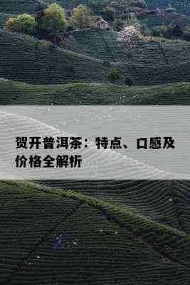 贺开普洱茶：特点、口感及价格全解析