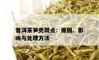 普洱茶笋壳斑点：原因、影响与处理方法