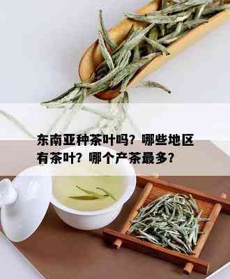 东南亚种茶叶吗？哪些地区有茶叶？哪个产茶最多？