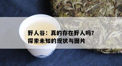 野人谷：真的存在野人吗？探索未知的现状与图片