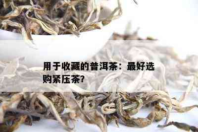 用于收藏的普洱茶：更好选购紧压茶？