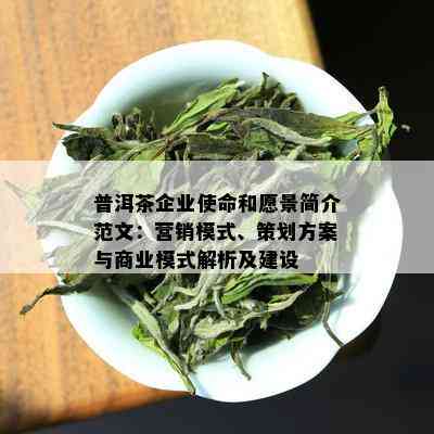 普洱茶企业使命和愿景简介范文：营销模式、策划方案与商业模式解析及建设