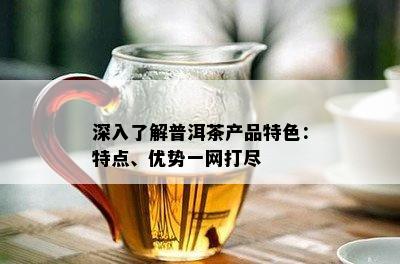 深入了解普洱茶产品特色：特点、优势一网打尽