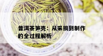 普洱茶笋壳：从采摘到制作的全过程解析