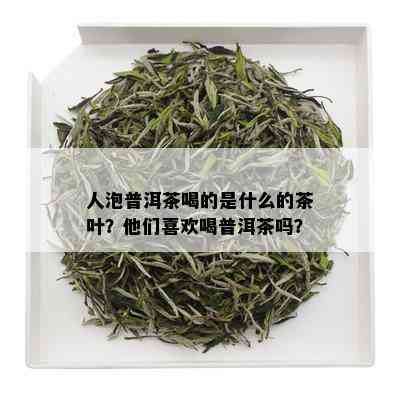 人泡普洱茶喝的是什么的茶叶？他们喜欢喝普洱茶吗？