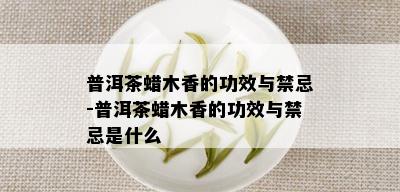 普洱茶蜡木香的功效与禁忌-普洱茶蜡木香的功效与禁忌是什么