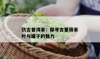 仿古普洱茶：探寻古董级茶叶与罐子的魅力