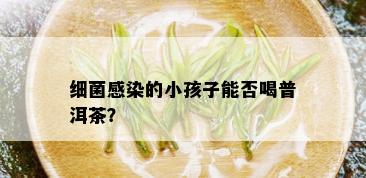 细菌感染的小孩子能否喝普洱茶？