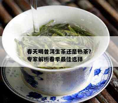 春天喝普洱生茶还是熟茶？专家解析春季更佳选择