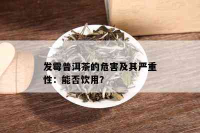 发霉普洱茶的危害及其严重性：能否饮用？