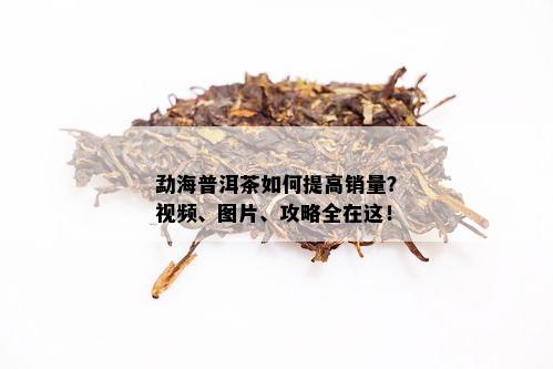 勐海普洱茶如何提高销量？视频、图片、攻略全在这！