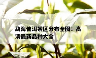 勐海普洱茶区分布全图：高清最新品种大全