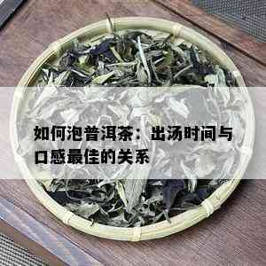 如何泡普洱茶：出汤时间与口感更佳的关系