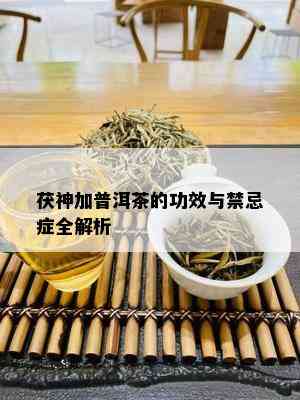 茯神加普洱茶的功效与禁忌症全解析