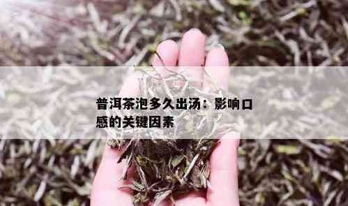 普洱茶泡多久出汤：影响口感的关键因素