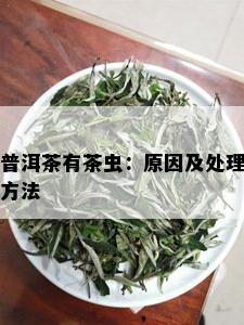 普洱茶有茶虫：原因及处理方法