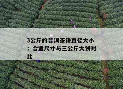 3公斤的普洱茶饼直径大小：合适尺寸与三公斤大饼对比