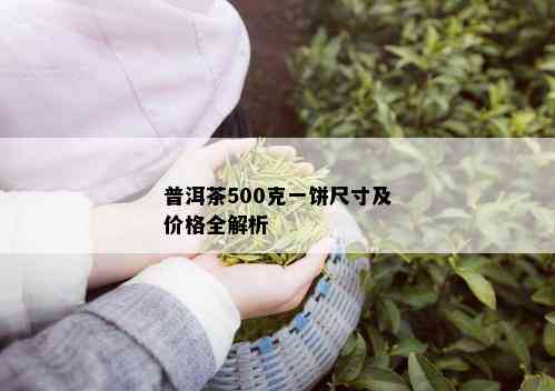 普洱茶500克一饼尺寸及价格全解析