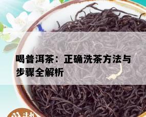 喝普洱茶：正确洗茶方法与步骤全解析