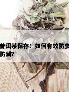 普洱茶保存：如何有效防虫防潮？