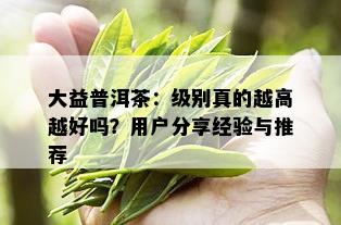 大益普洱茶：级别真的越高越好吗？用户分享经验与推荐