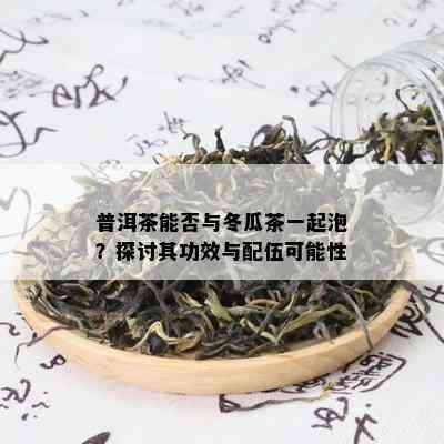 普洱茶能否与冬瓜茶一起泡？探讨其功效与配伍可能性