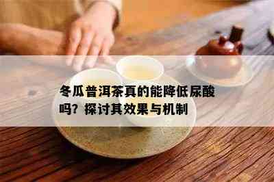 冬瓜普洱茶真的能降低尿酸吗？探讨其效果与机制