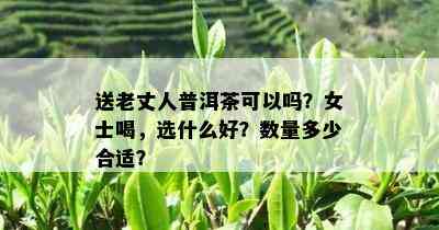 送老丈人普洱茶可以吗？女士喝，选什么好？数量多少合适？