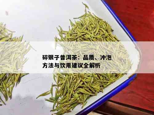 碎银子普洱茶：品质、冲泡方法与饮用建议全解析