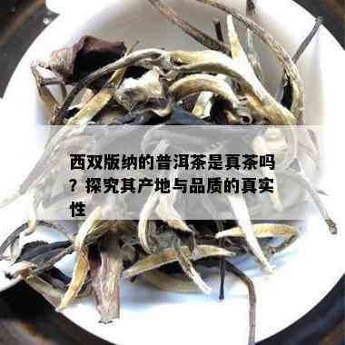 西双版纳的普洱茶是真茶吗？探究其产地与品质的真实性