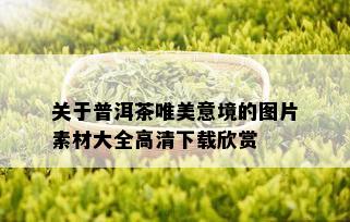 关于普洱茶唯美意境的图片素材大全高清下载欣赏