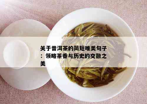 关于普洱茶的简短唯美句子：领略茶香与历史的交融之美