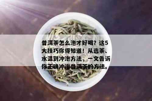 普洱茶怎么泡才好喝？这5大技巧你得知道！从选茶、水温到冲泡方法，一文告诉你正确冲泡普洱茶的方法。