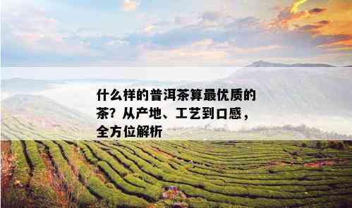 什么样的普洱茶算更优质的茶？从产地、工艺到口感，全方位解析