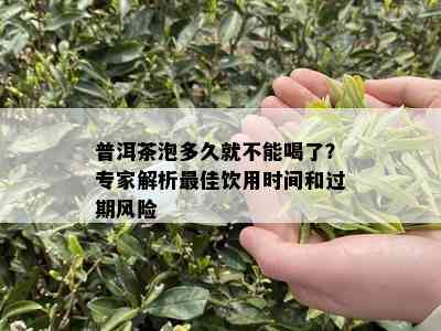 普洱茶泡多久就不能喝了？专家解析更佳饮用时间和过期风险