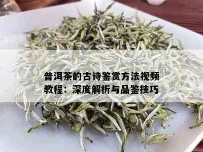 普洱茶的古诗鉴赏方法视频教程：深度解析与品鉴技巧