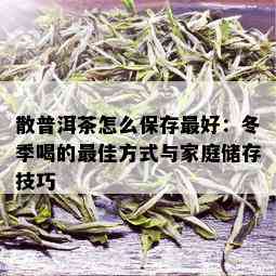 散普洱茶怎么保存更好：冬季喝的更佳方式与家庭储存技巧