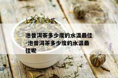 泡普洱茶多少度的水温更佳-泡普洱茶多少度的水温更佳呢