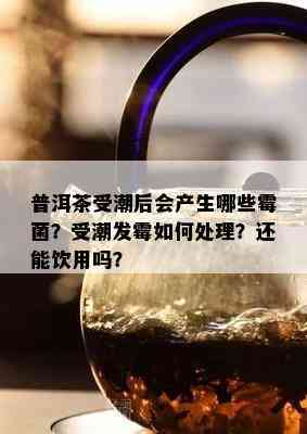 普洱茶受潮后会产生哪些霉菌？受潮发霉如何处理？还能饮用吗？