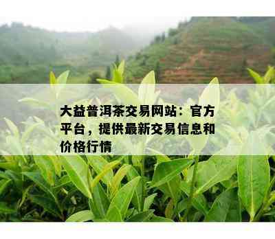 大益普洱茶交易网站：官方平台，提供最新交易信息和价格行情