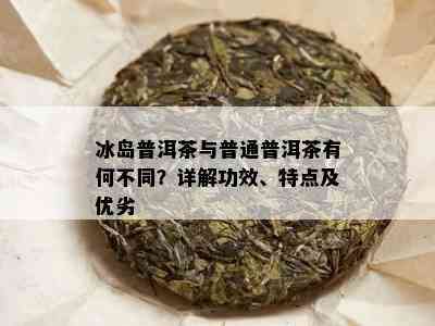 冰岛普洱茶与普通普洱茶有何不同？详解功效、特点及优劣