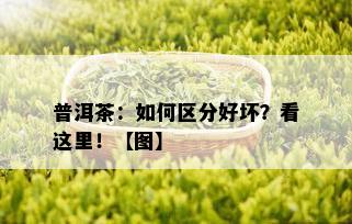 普洱茶：如何区分好坏？看这里！【图】