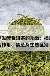 半发酵普洱茶的功效：揭示其作用、禁忌及生熟区别