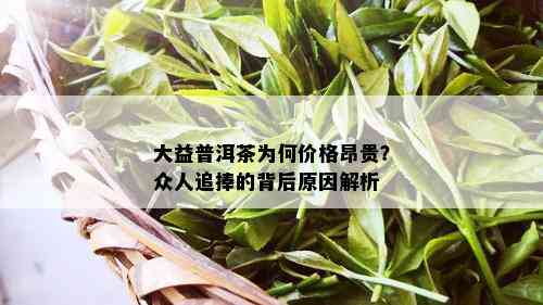 大益普洱茶为何价格昂贵？众人追捧的背后原因解析