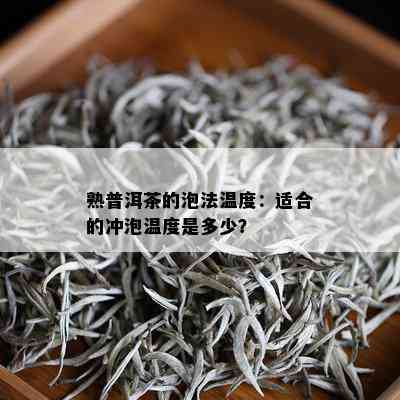 熟普洱茶的泡法温度：适合的冲泡温度是多少？