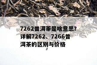 7262普洱茶是啥意思？详解7262、7266普洱茶的区别与价格