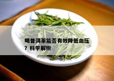 喝普洱茶能否有效降低血压？科学解析