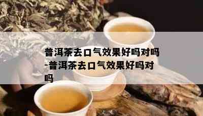 普洱茶去口气效果好吗对吗-普洱茶去口气效果好吗对吗